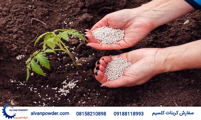 بهبود خاک با استفاده از پودر تالک در کشاورزی