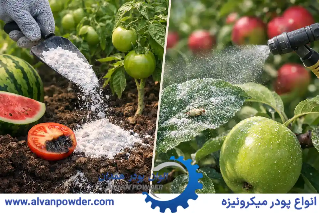 نقش کلیدی کربنات کلسیم در کود و سم چیست؟