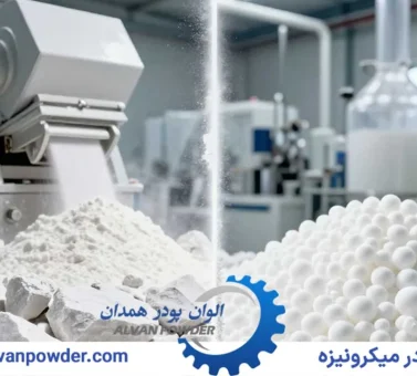 انواع مدل های کربنات کلسیم ؛ صفر تا صد