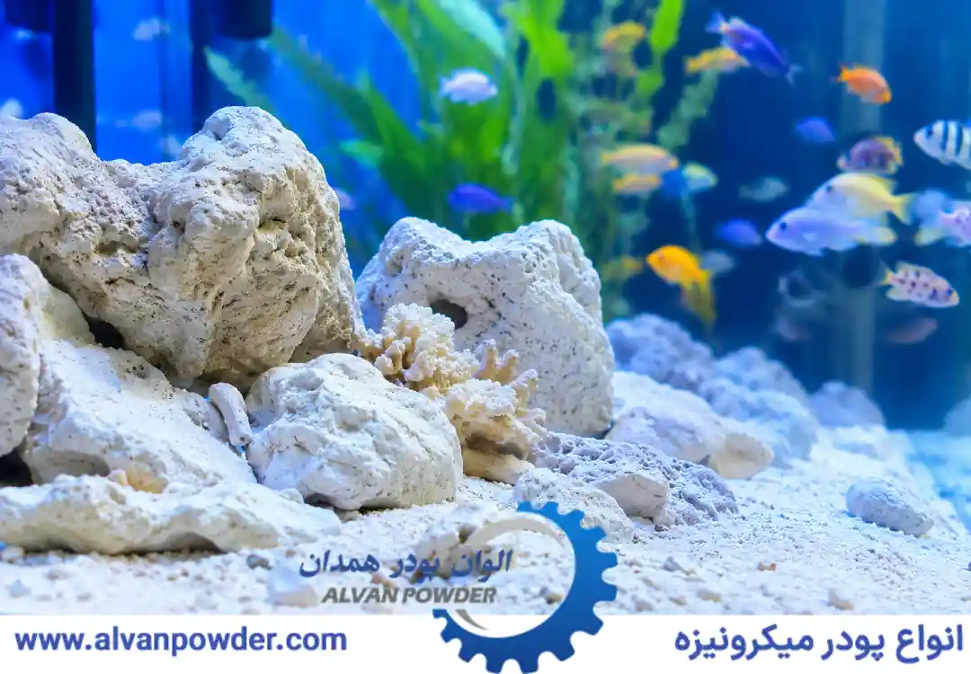 مزایای کربنات کلسیم برای آکواریوم های خانگی