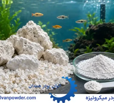 کاربرد کربنات کلسیم برای آکواریوم