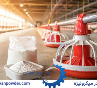 کربنات کلسیم در خوراک طیور | راهنمای کامل کاربرد در مرغداری