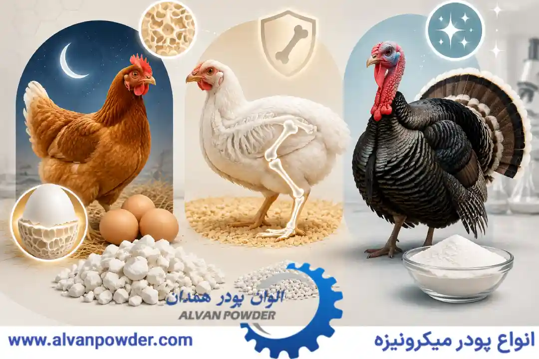 کاربرد کربنات کلسیم در خوراک طیور به تفکیک گونه