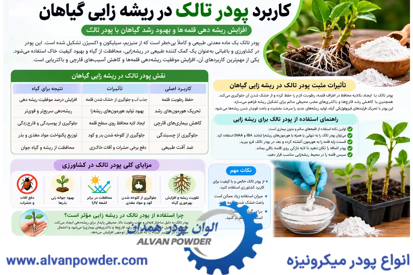 خلاصه سریع کاربرد پودر تالک در ریشه زایی گیاهان